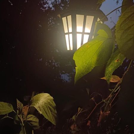 Aam'S Courtyard Kalimpong Exterior foto