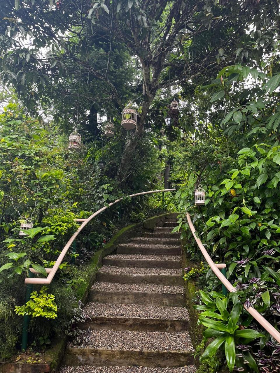 Aam'S Courtyard Kalimpong Exterior foto