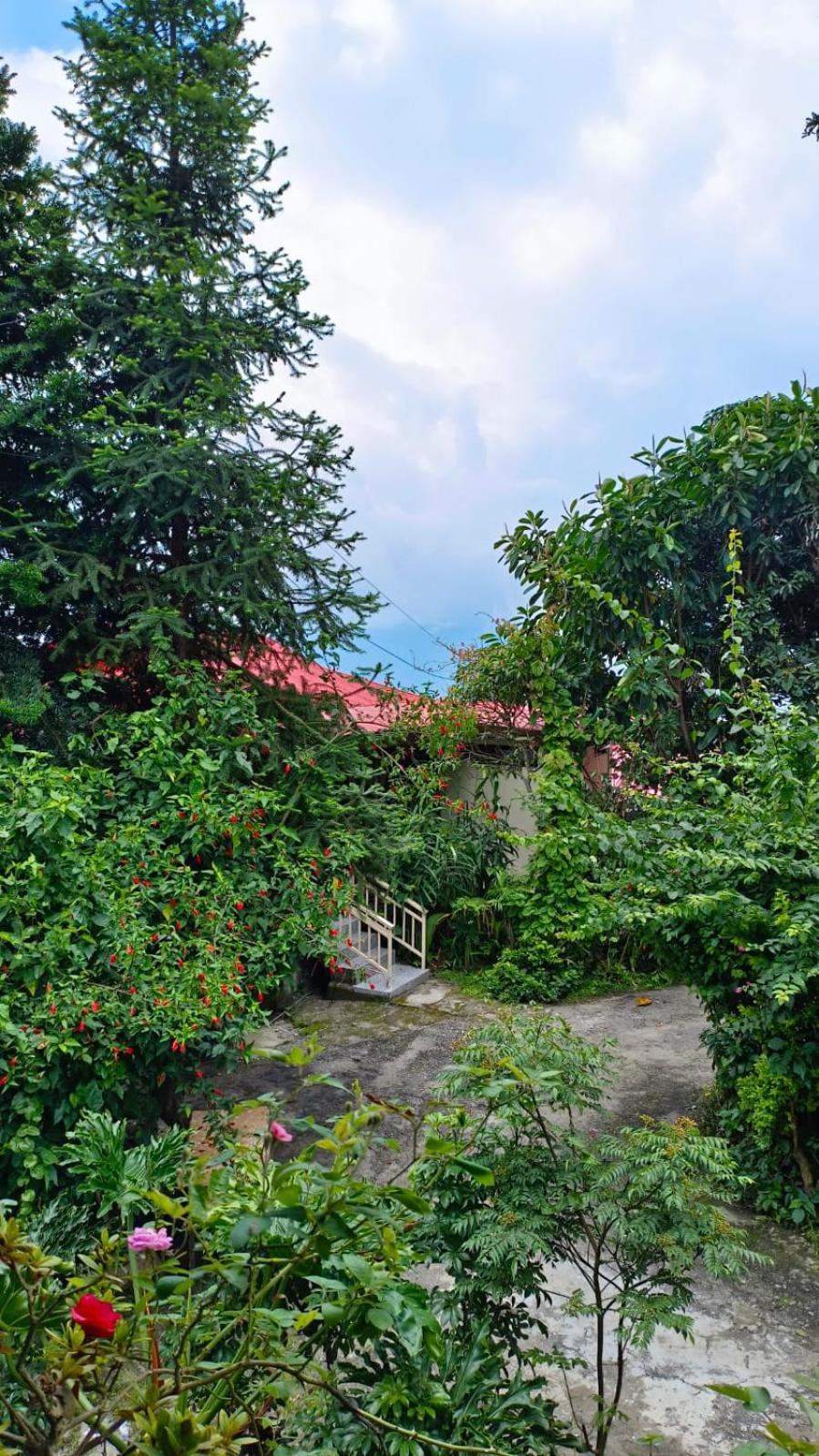 Aam'S Courtyard Kalimpong Exterior foto